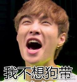 极限挑战诚信表情包,诚信表情包背后的故事与启示